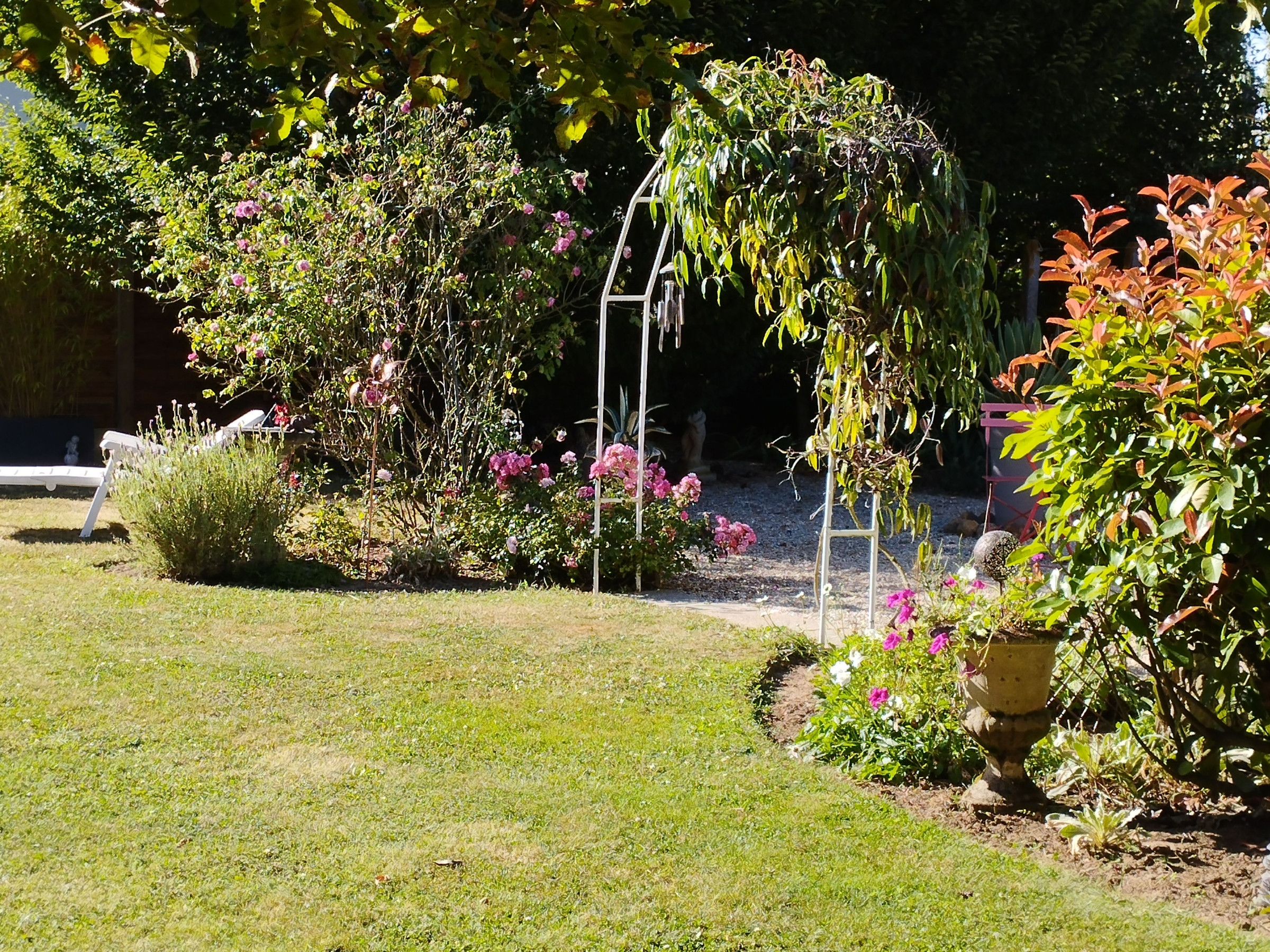 Un jardin avec différentes espèces de plantes et une structure métallique blanche.