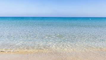 A clear view of a beach with calm water and a sandy shore.