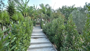 A stone pathway flanked by lush greenery leading to a building. - Villa del Colle con Piscina Privata (Ispica)