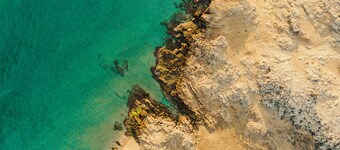 ジェンマ ディ マーレ