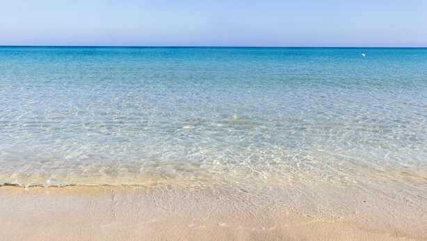 Una vista despejada de una playa con agua tranquila y una orilla arenosa.