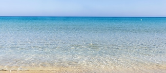 Casa Vivian Vista Mare
