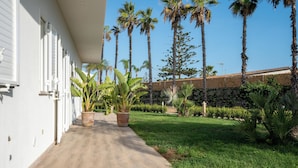 Un sendero lleva a un edificio con contraventanas blancas, rodeado de un jardín cuidado con palmeras y plantas en macetas.