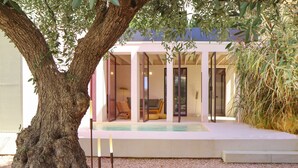 Een modern huis met een zwembad, een grote boom en een terras.