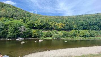 A river with a forested hillside, a gravel path, and a person by the water.