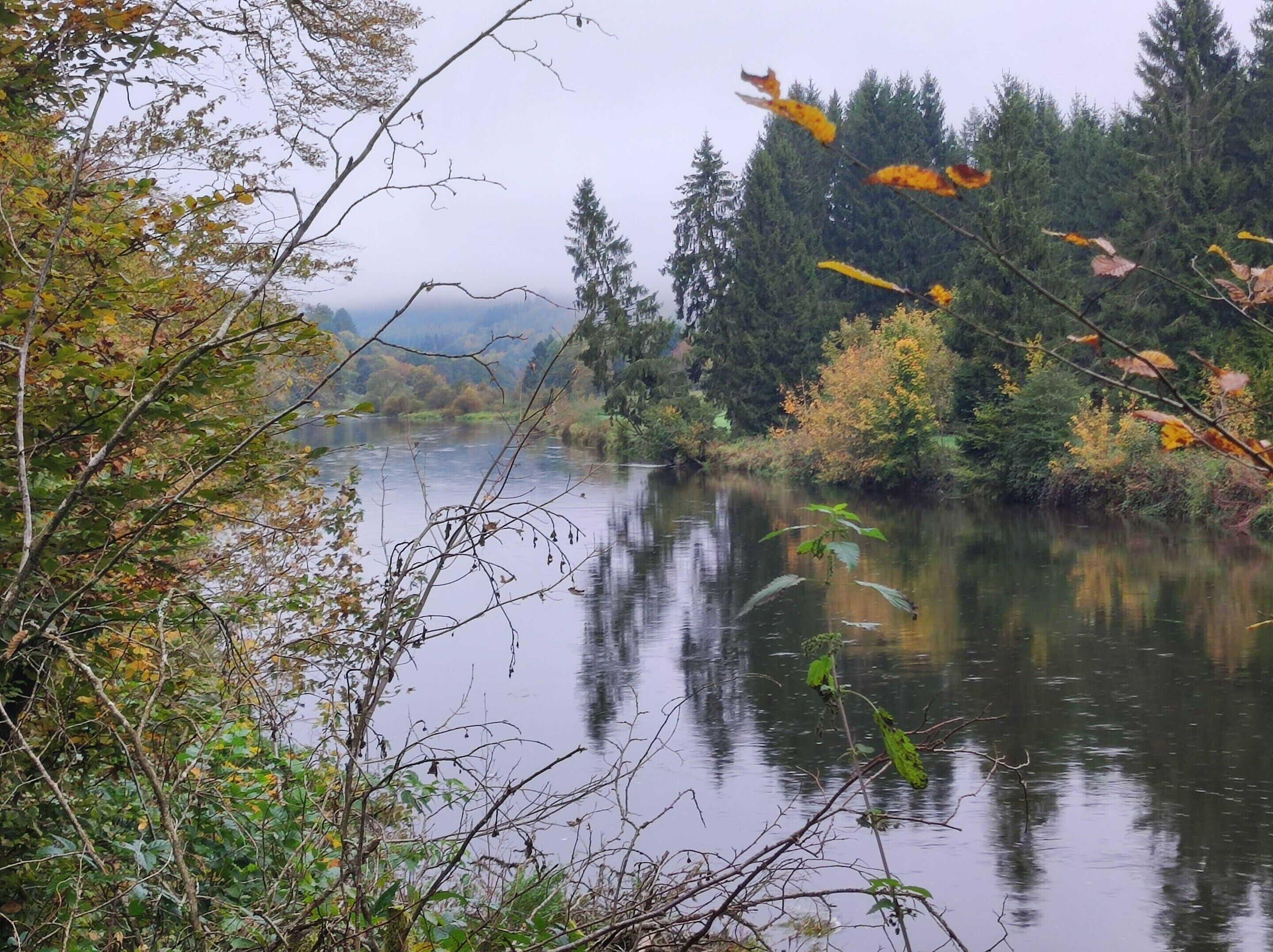 A calm river with trees and foliage on both sides.