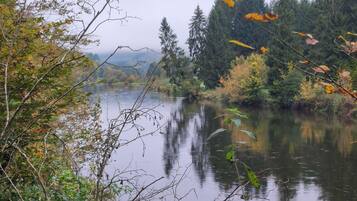 A calm river with trees and foliage on both sides.
