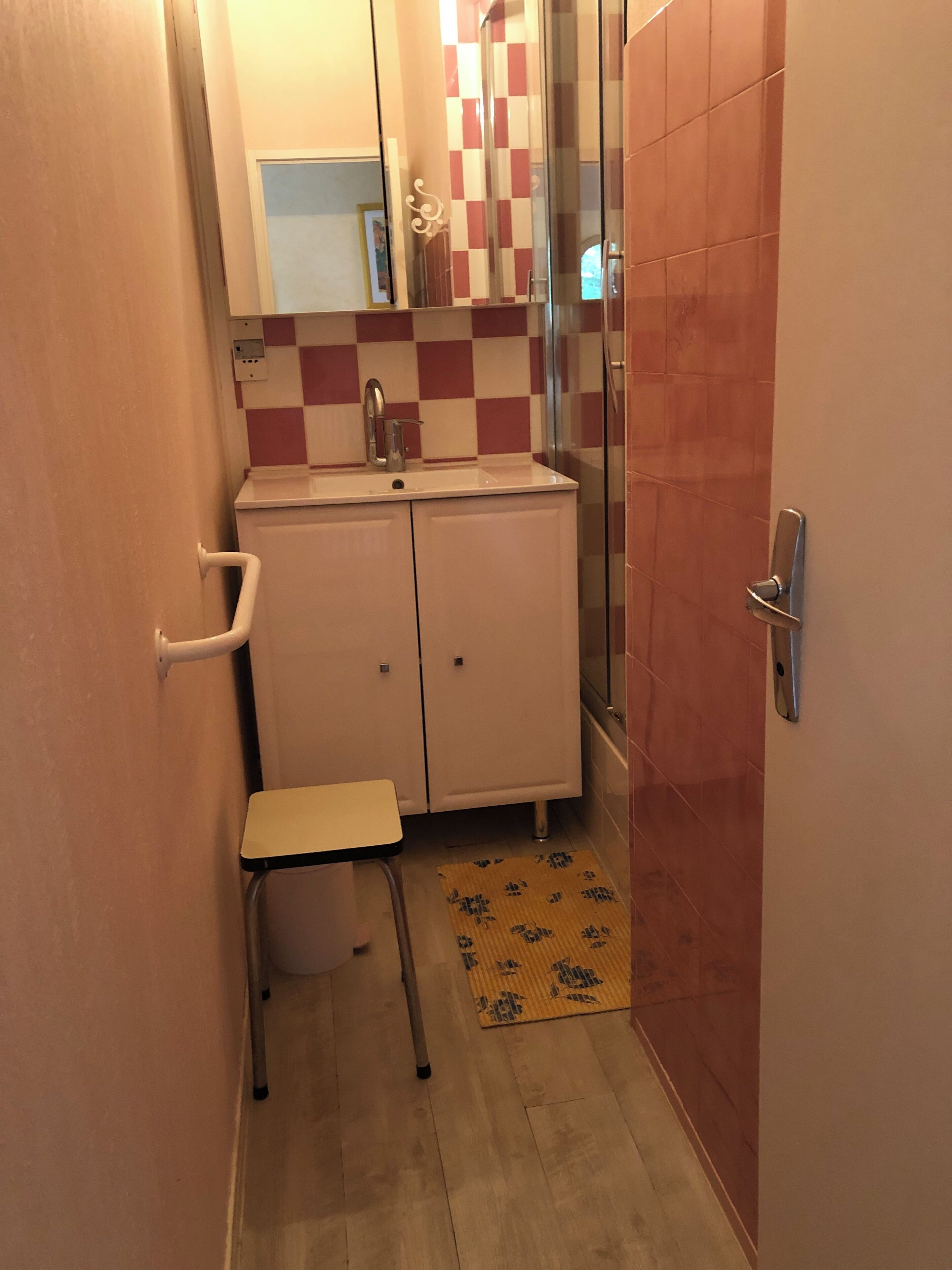 Shower, hair dryer