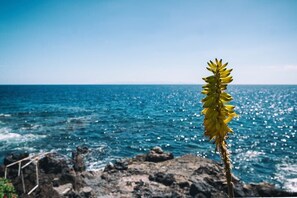 Luokittelematon kuva, 2 kautta 10, painike