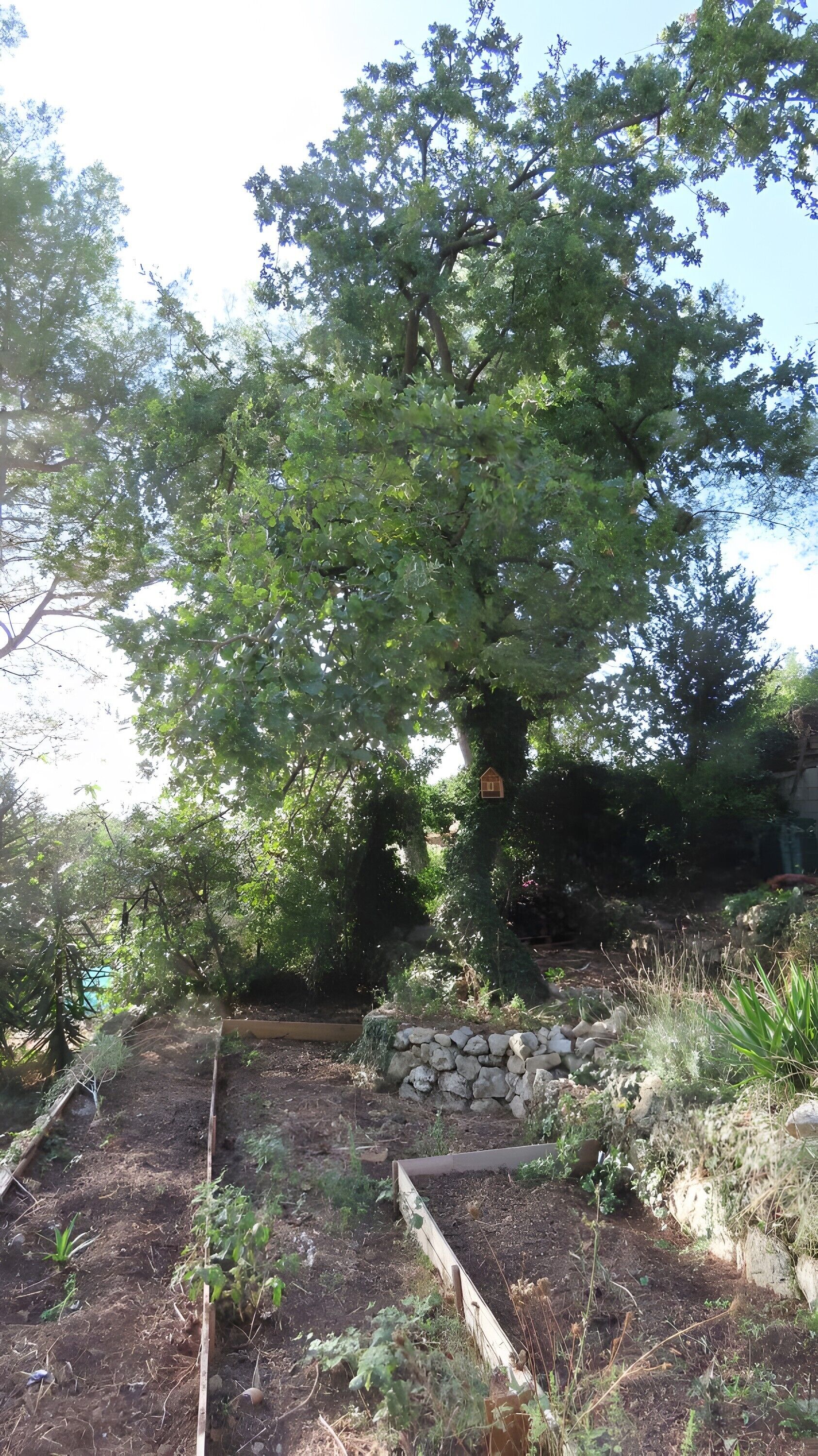 Àrea exterior de l'allotjament