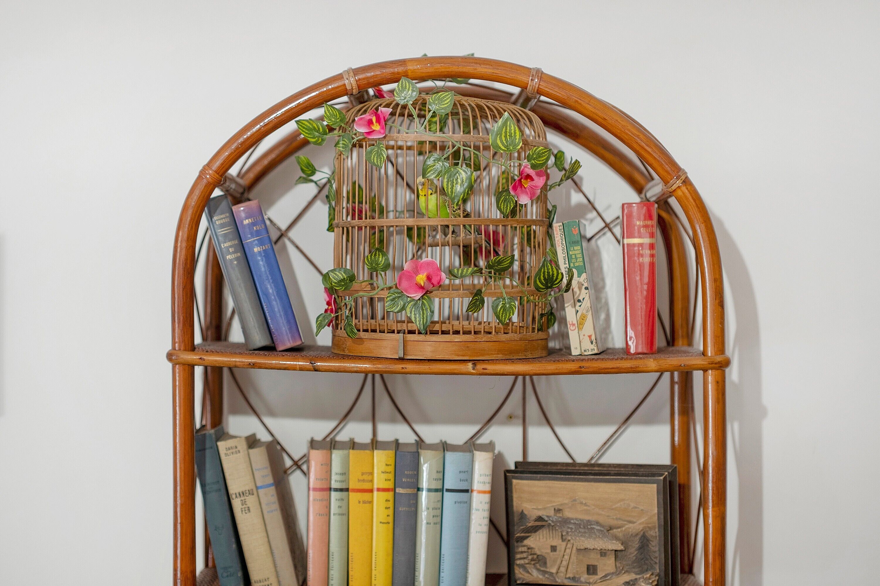 Une bibliothèque remplie de livres et une cage à oiseaux décorative.