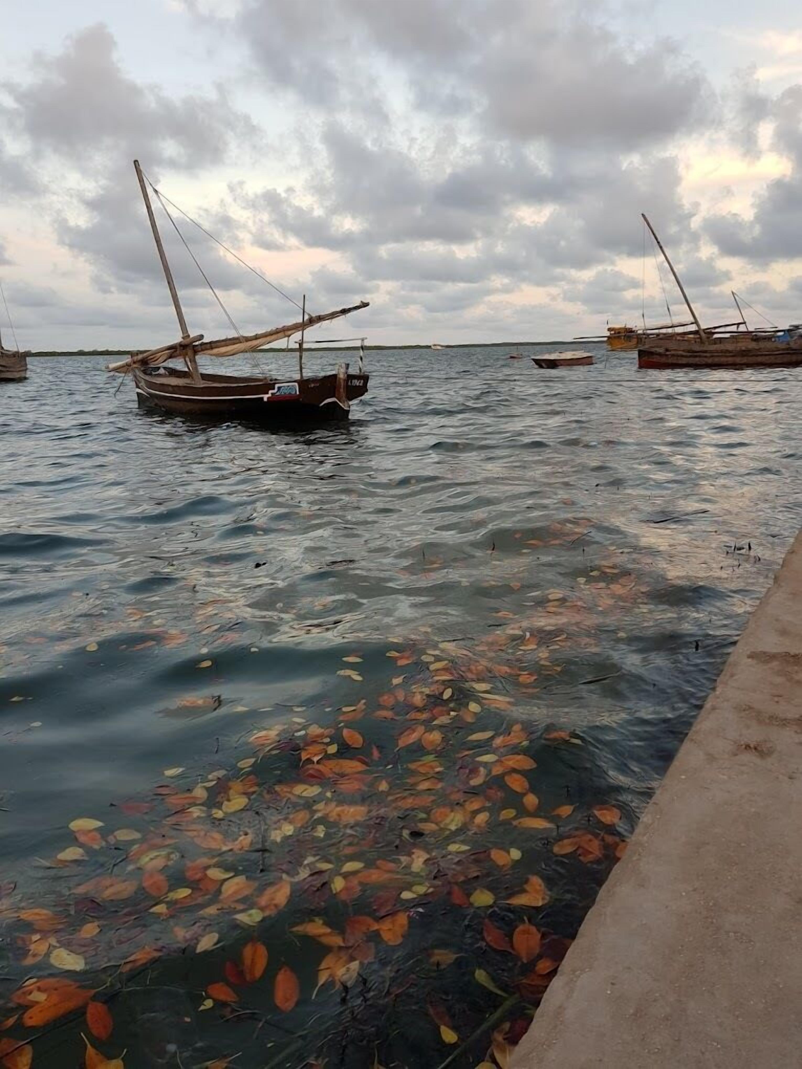 Una masa de agua tranquila con varias embarcaciones fondeadas, rodeada por un cielo nublado.