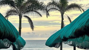 Una spiaggia con palme e una panchina di legno.