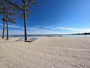 Ein Strand mit Sand, Bäumen und blauem Himmel.