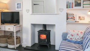 Een gezellige woonkamer met een open haard, een televisie en een boekenplank.
