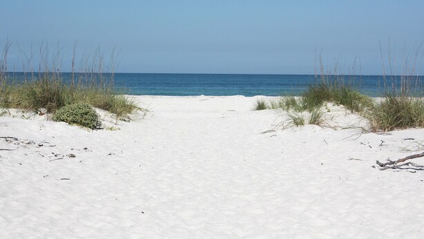 A sandy beach path leading to the ocean with sparse vegetation. - Clearwater Beach Home w/ Pool & Pool Table Room (Clearwater Beach)