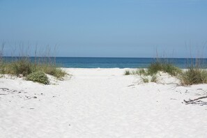 A sandy beach path leading to the ocean with sparse vegetation. - Clearwater Beach Home w/ Pool & Pool Table Room (Clearwater Beach)