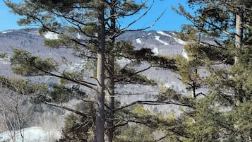 A mountainous landscape with pine trees in the foreground.
