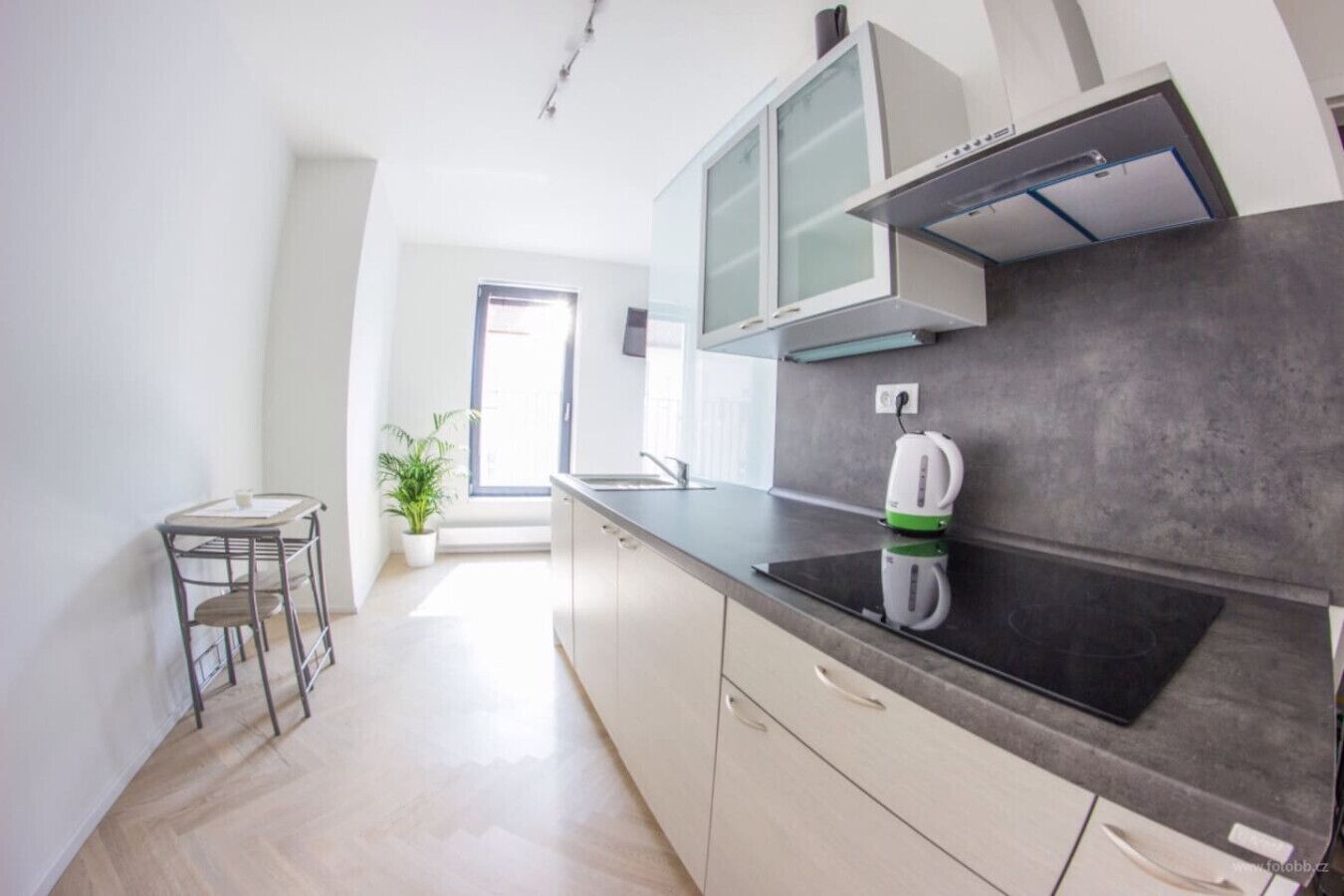 Jääkaappi, mikroaaltouuni, liesi, kahvin-/teenkeitin