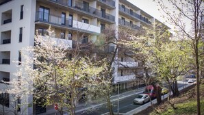 Un immeuble résidentiel à plusieurs étages, doté de balcons, d’un espace de stationnement et d’arbres au premier plan.
