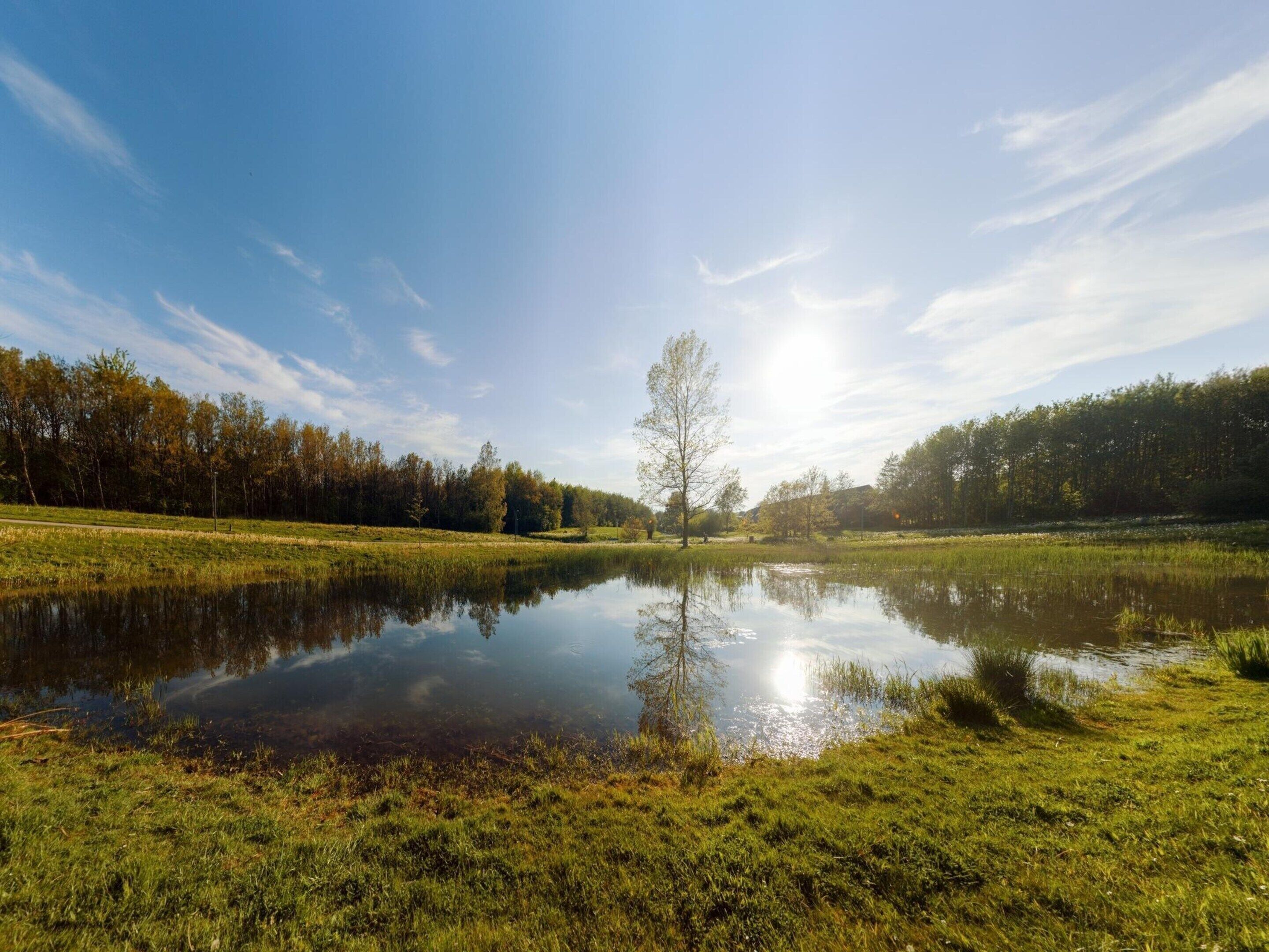 A tranquil lake with a clear reflection, surrounded by grassy banks and trees.