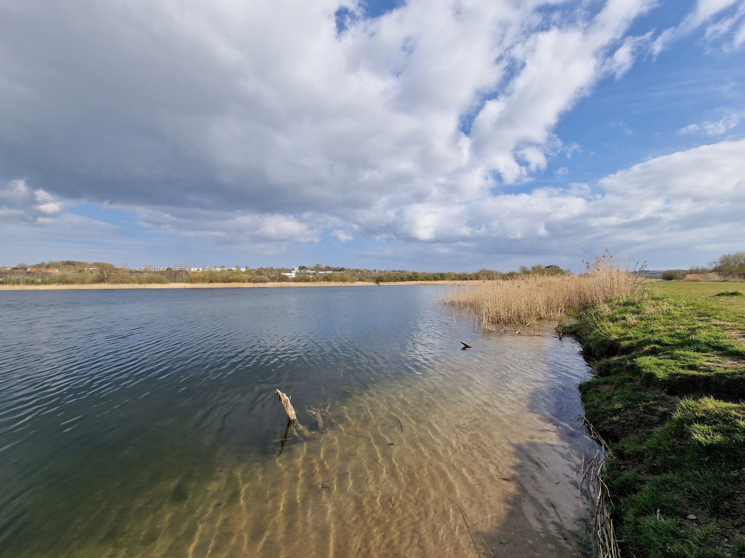 A calm lake with clear water, surrounded by grassy banks and a few buildings in the distance.