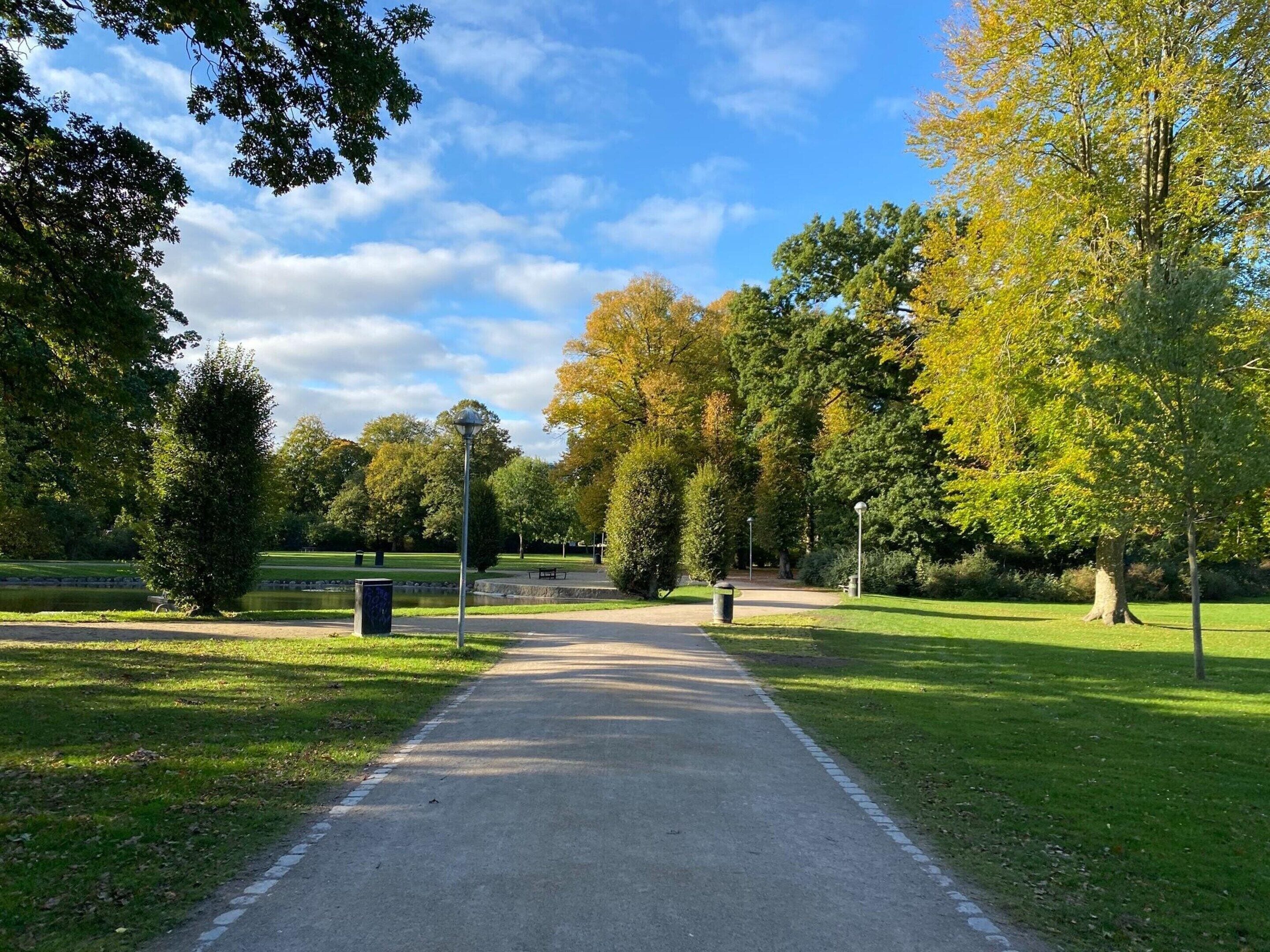 A paved pathway in a park with trees and a bench.
