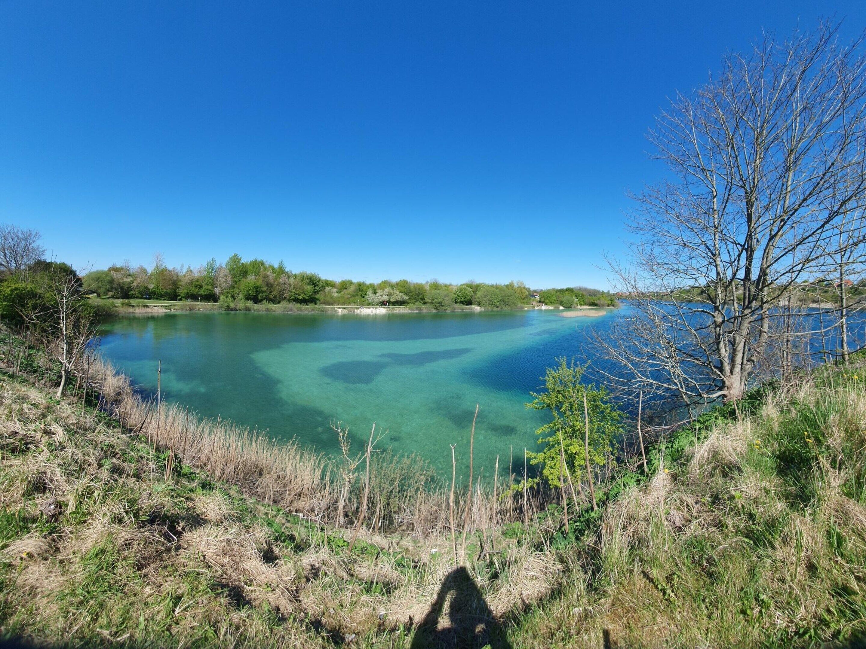 A clear lake with a tree in the foreground and a clear sky.