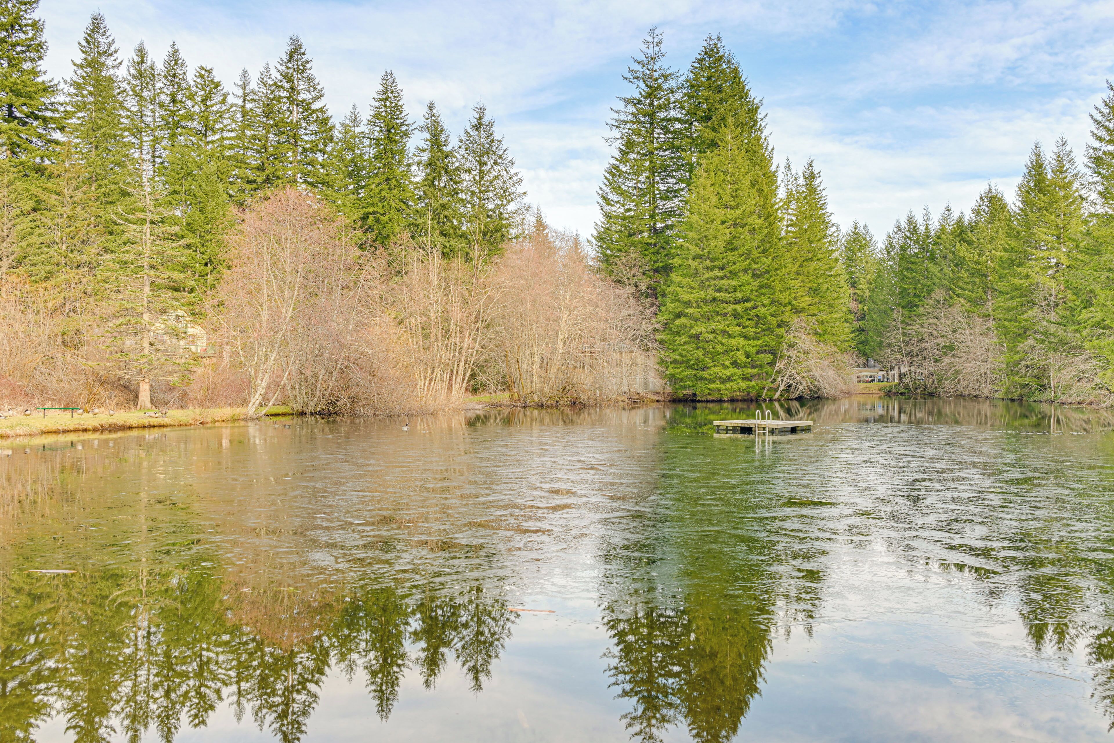 Un lago tranquilo rodeado de frondosos árboles de hoja perenne.