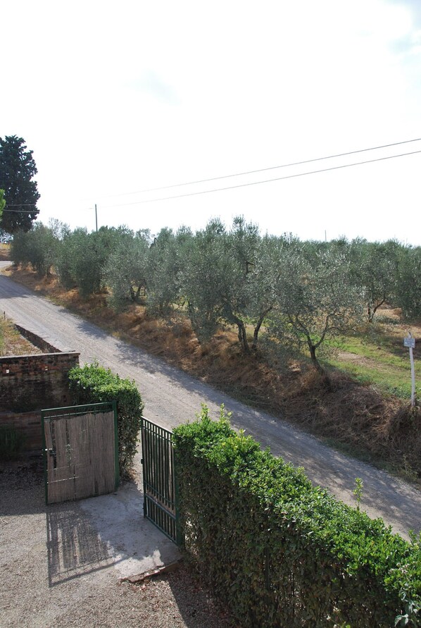 Property grounds - Guardia (Castelfiorentino)