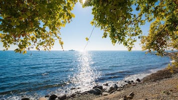 Apartment | View from property