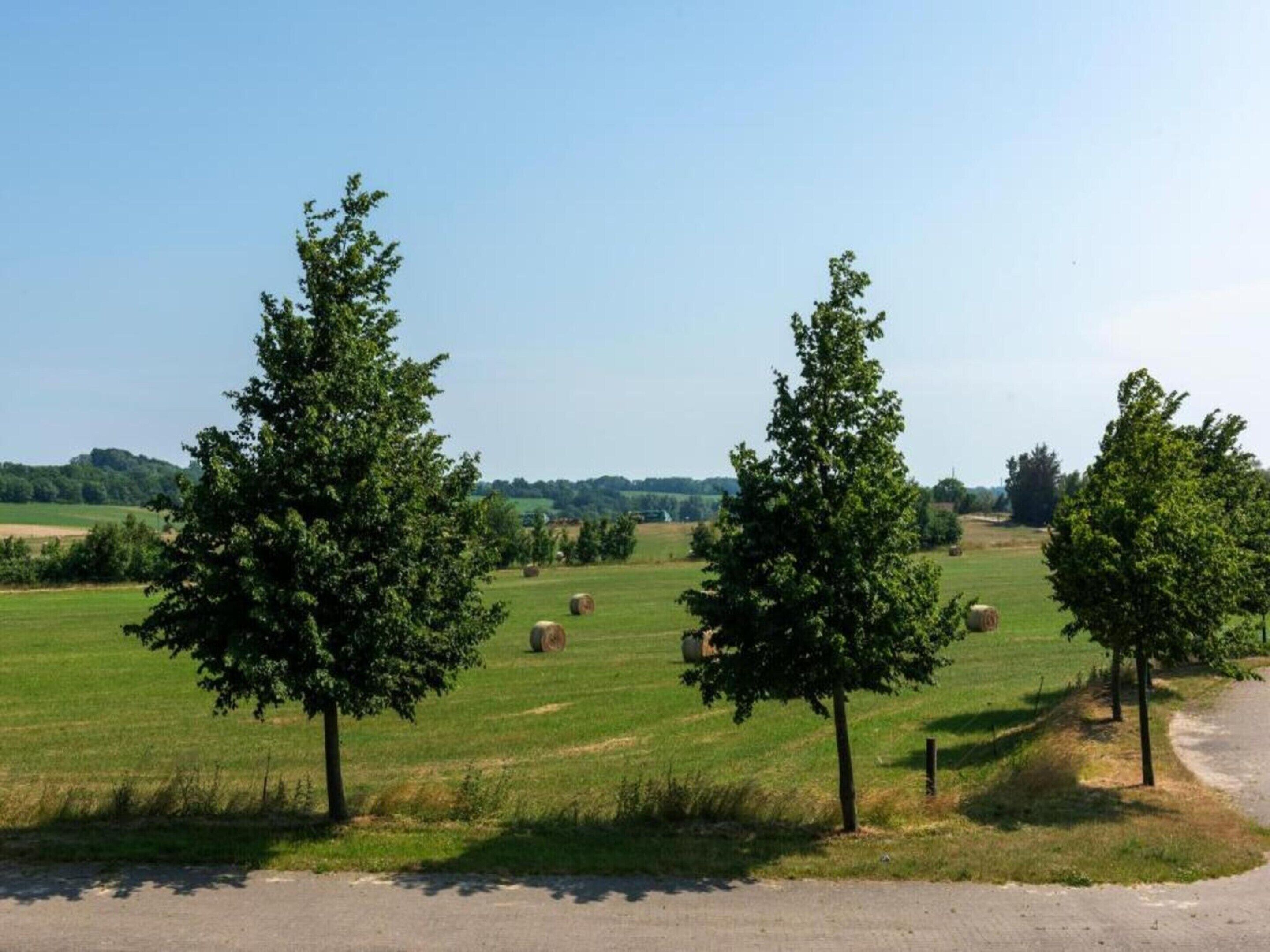 A rural landscape with a paved road, three trees, and hay bales in a field.