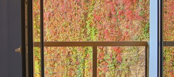 Art Boutique Residence - Central luxury stay Calea Victoriei