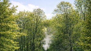 Een houten vakantiehuisje met schoorsteen, omgeven door een grasveld en bomen.