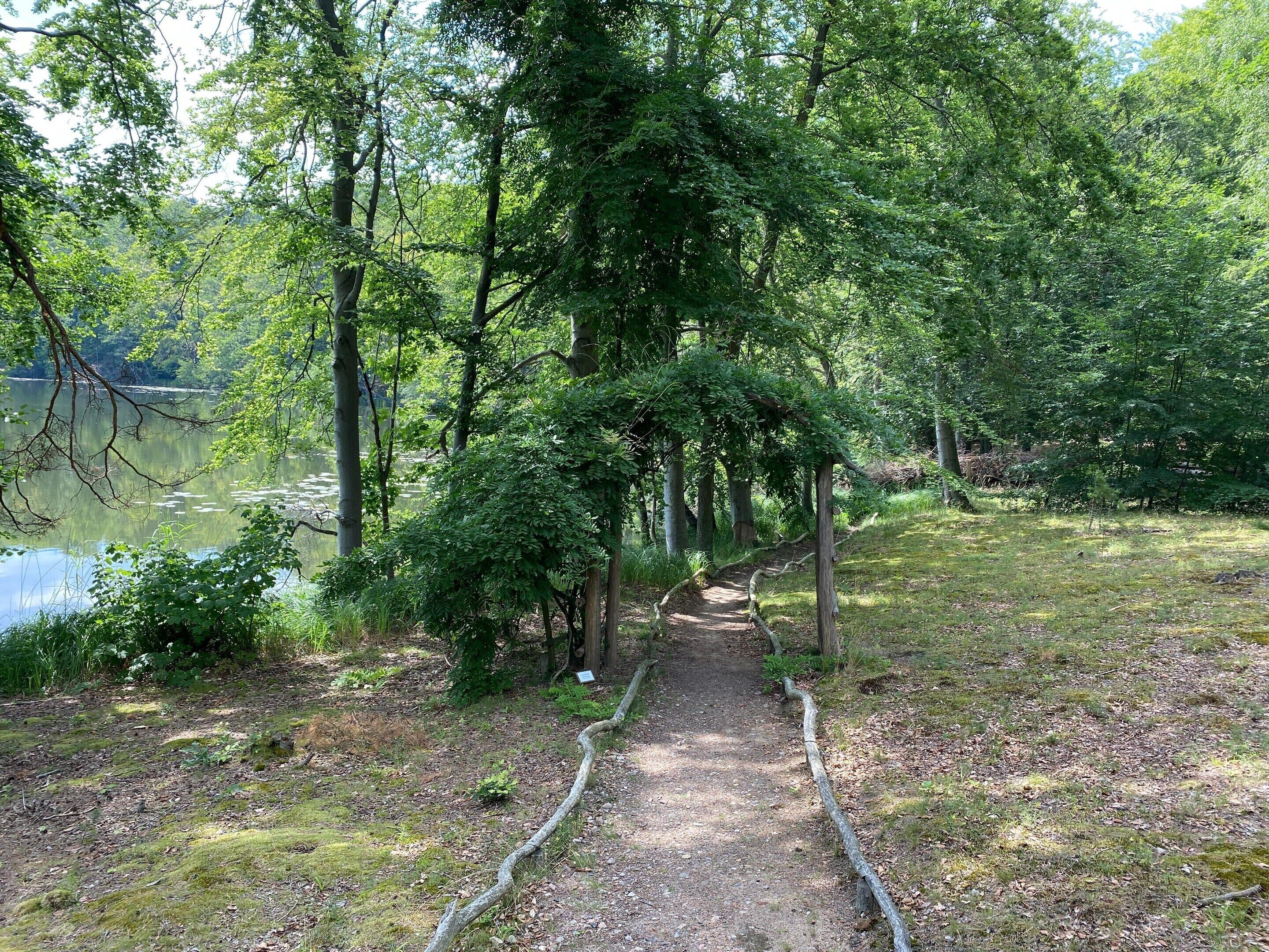 Un sentier bordé d’arbres qui mène à un plan d’eau, lequel est entouré d’arbres et de verdure.