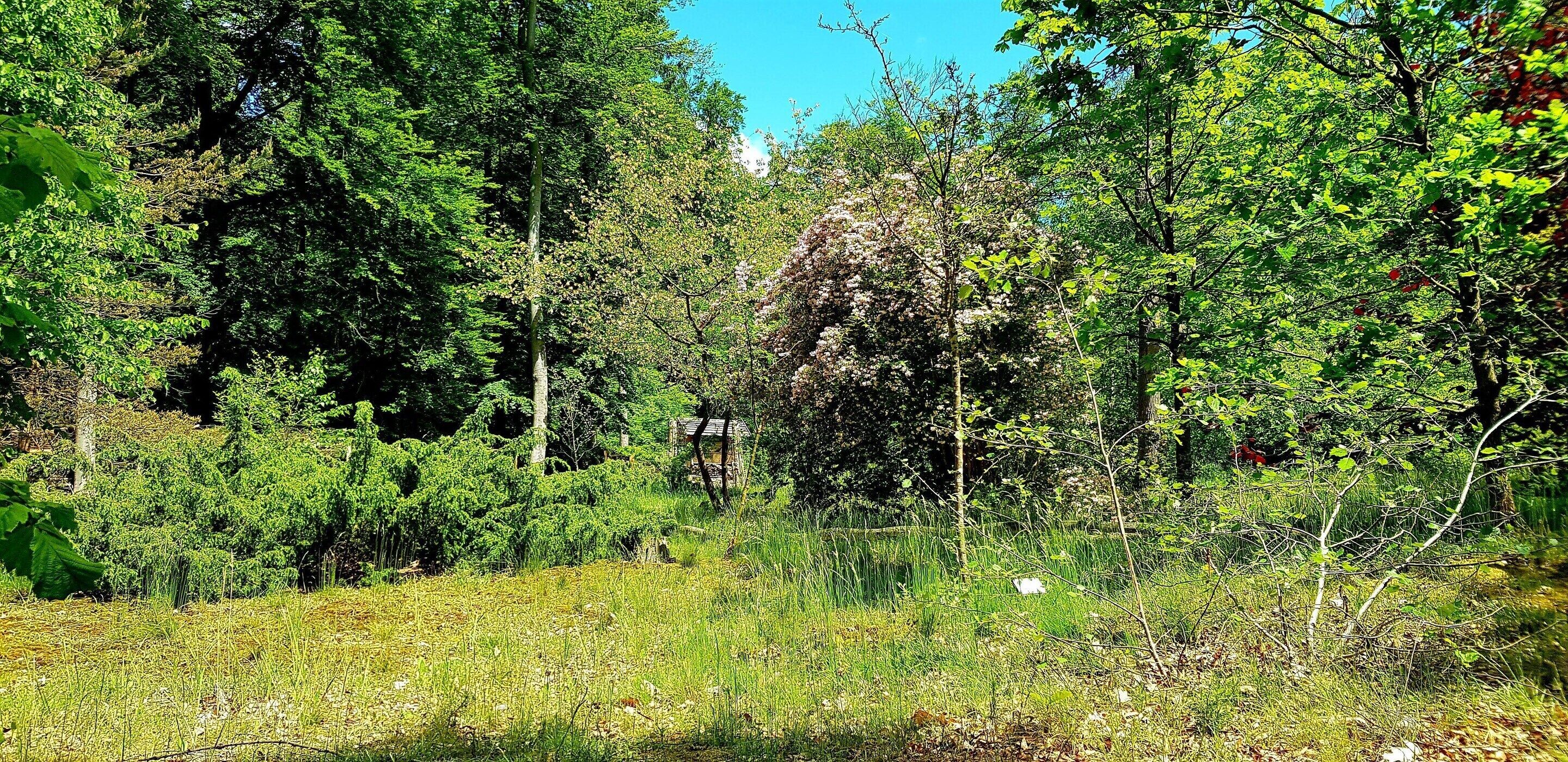 A natural landscape with dense greenery, trees, and a clear sky.