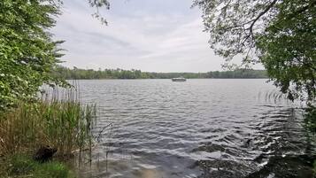Ein ruhiger See mit einem Boot in der Ferne, umgeben von Bäumen und Vegetation.