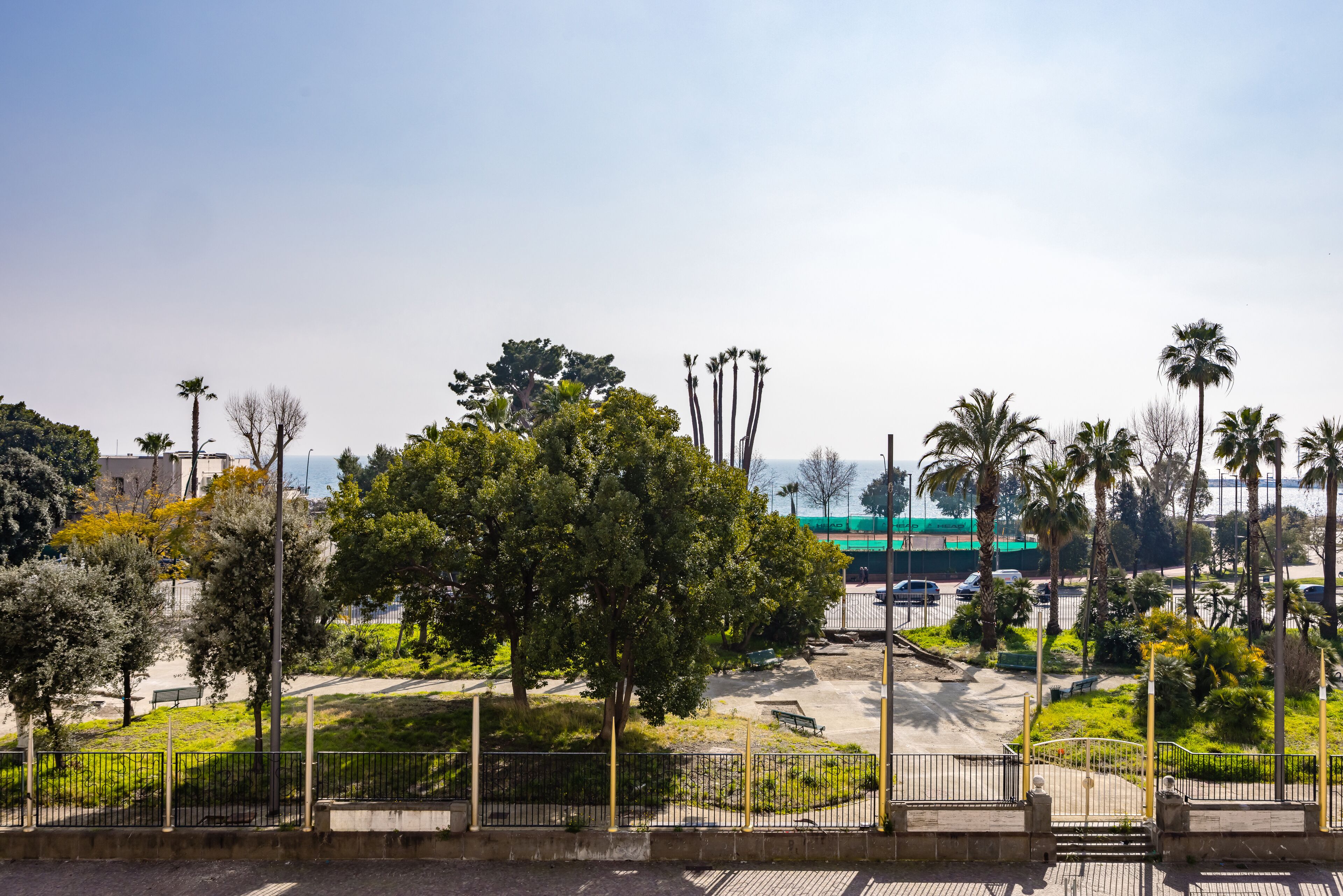 Un parque con senderos, bancos y palmeras.