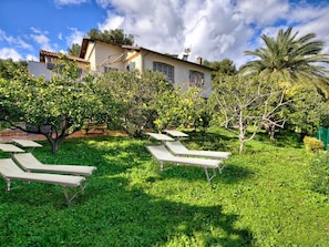 Una villa con giardino, che include due poltrone e una palma.