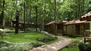A forested area with a concrete path leading to a row of cabins with tiled roofs. - VILLAS ROPOTAMO (Kiten)