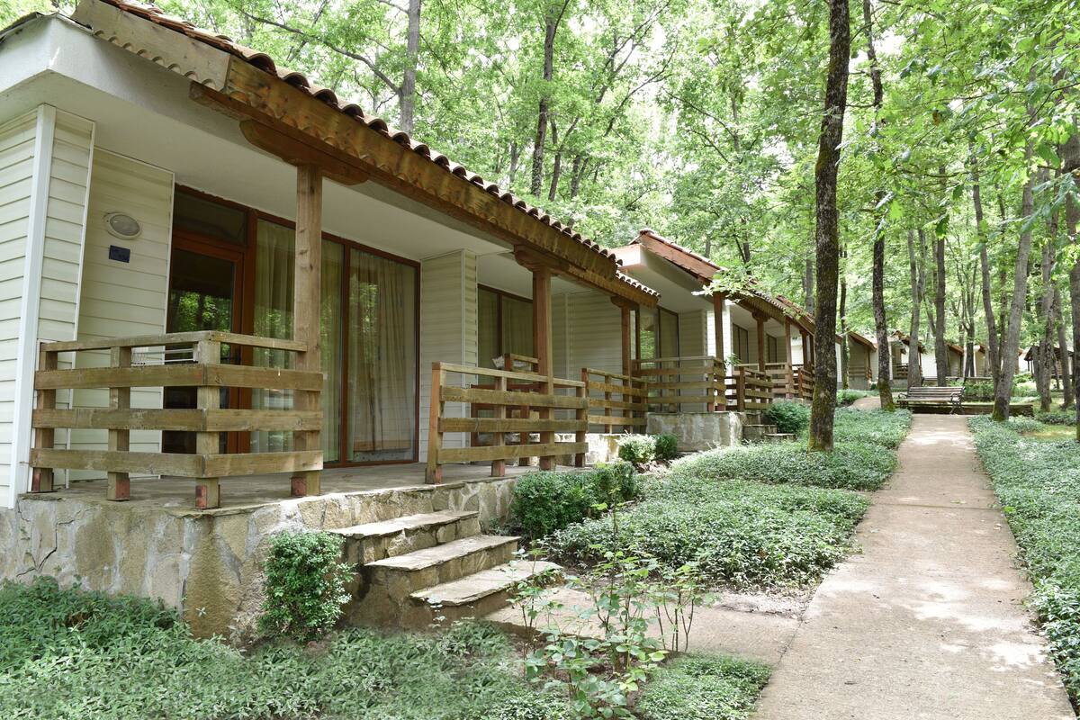 A row of wooden cabins with stone steps leading to the entrance, surrounded by lush greenery and trees.