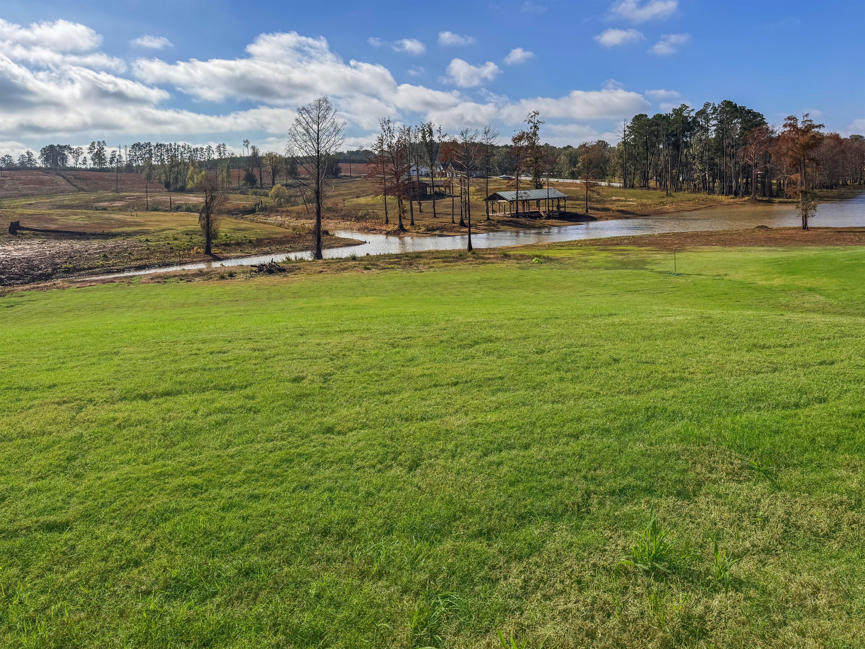 A grassy field with a small pond and a wooden structure in the distance.