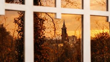 A view through a window with a church visible in the background, surrounded by trees.