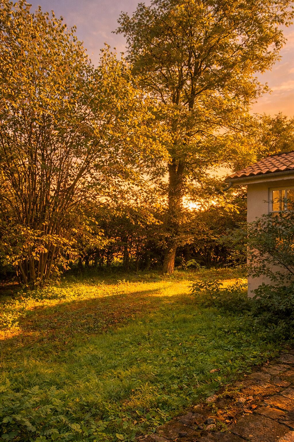 Superior tweepersoonskamer, uitzicht op tuin | Exterieur