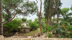A stone staircase leading to a courtyard with a small building, surrounded by trees and plants. - Historic & Modern Home with Garden (Haifa)