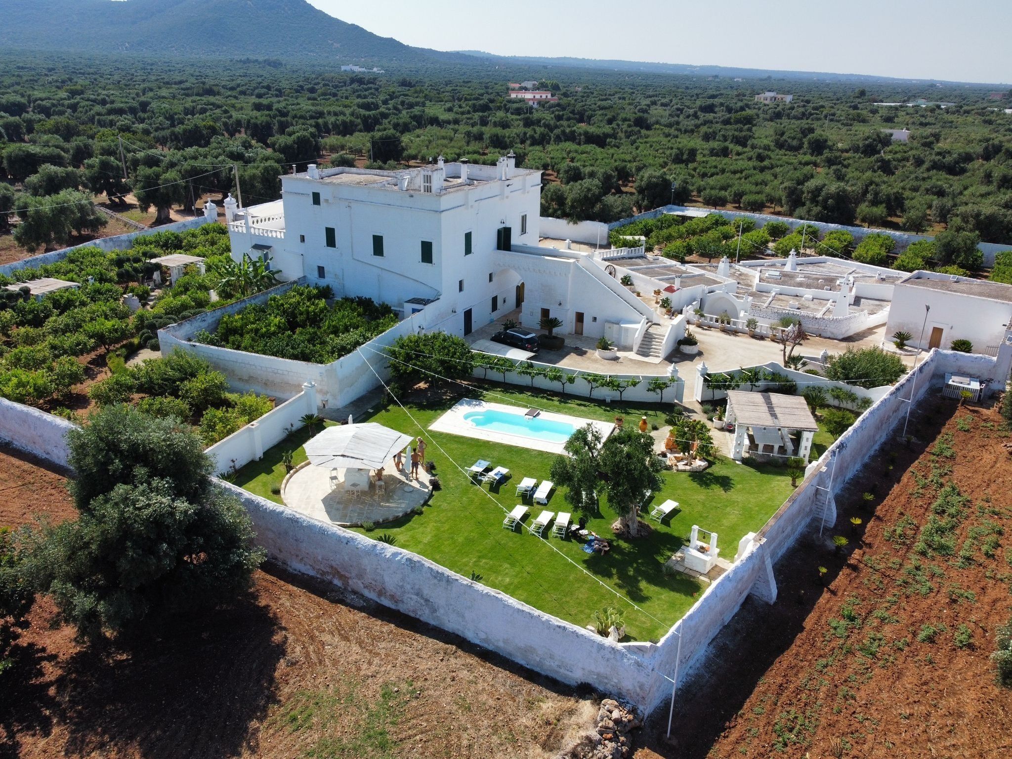 A large white villa with a swimming pool, surrounded by lush greenery and olive trees.