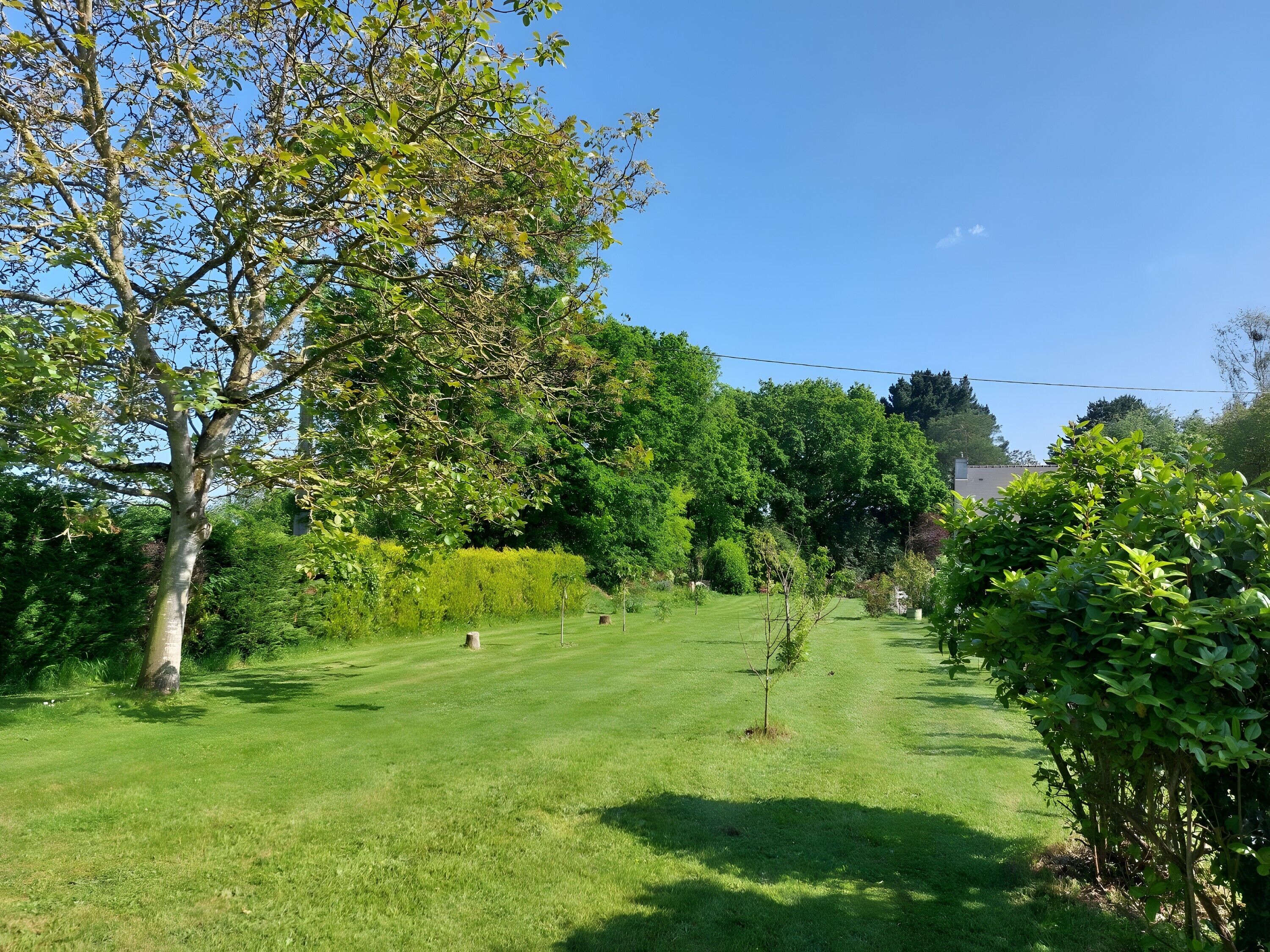 Jardines del alojamiento