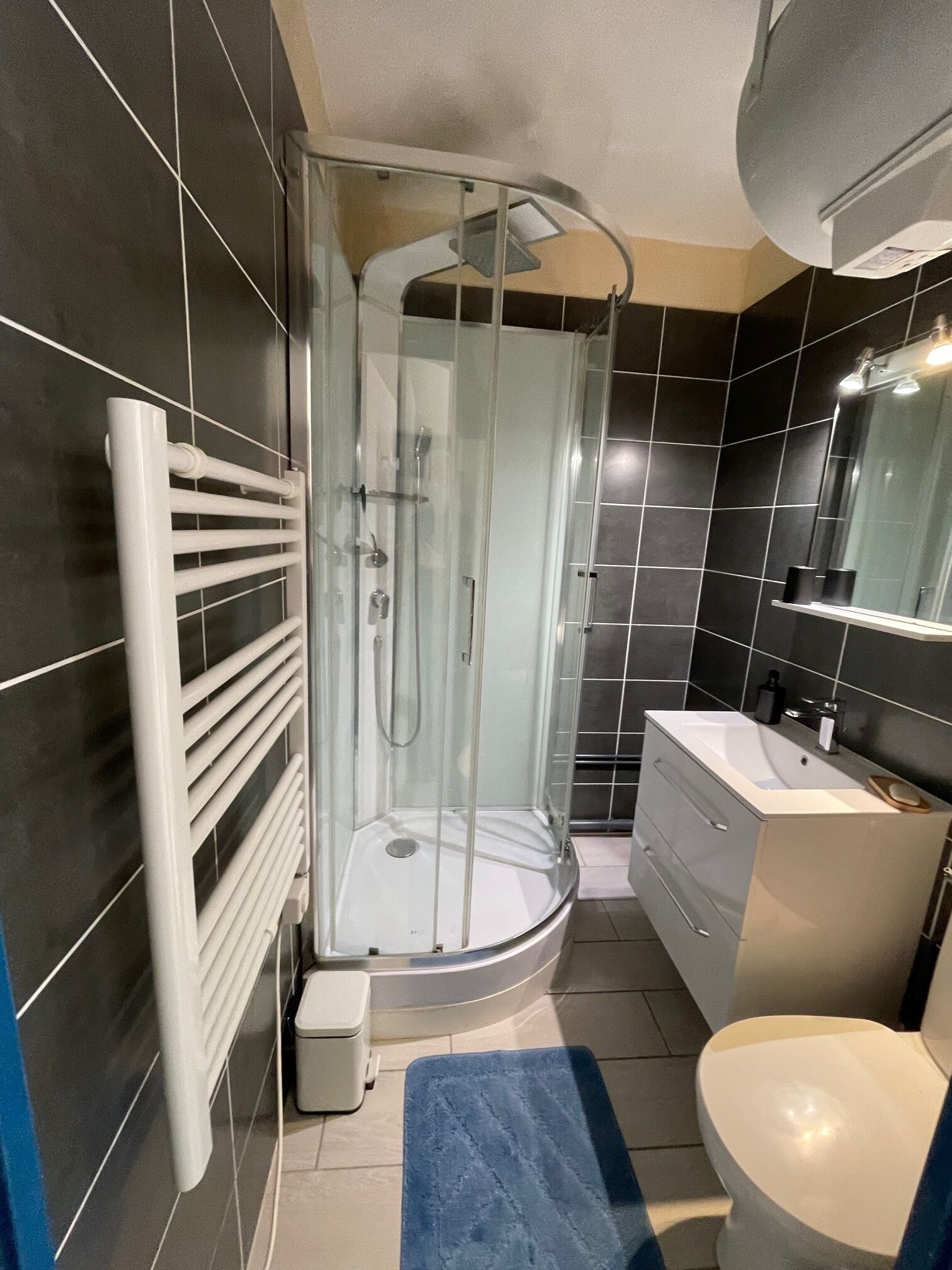 Shower, hair dryer, toilet paper