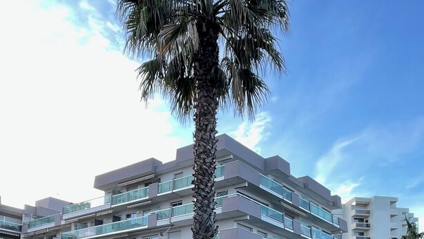 Un edificio residencial de varios pisos con balcones, zona de estacionamiento y una palmera.