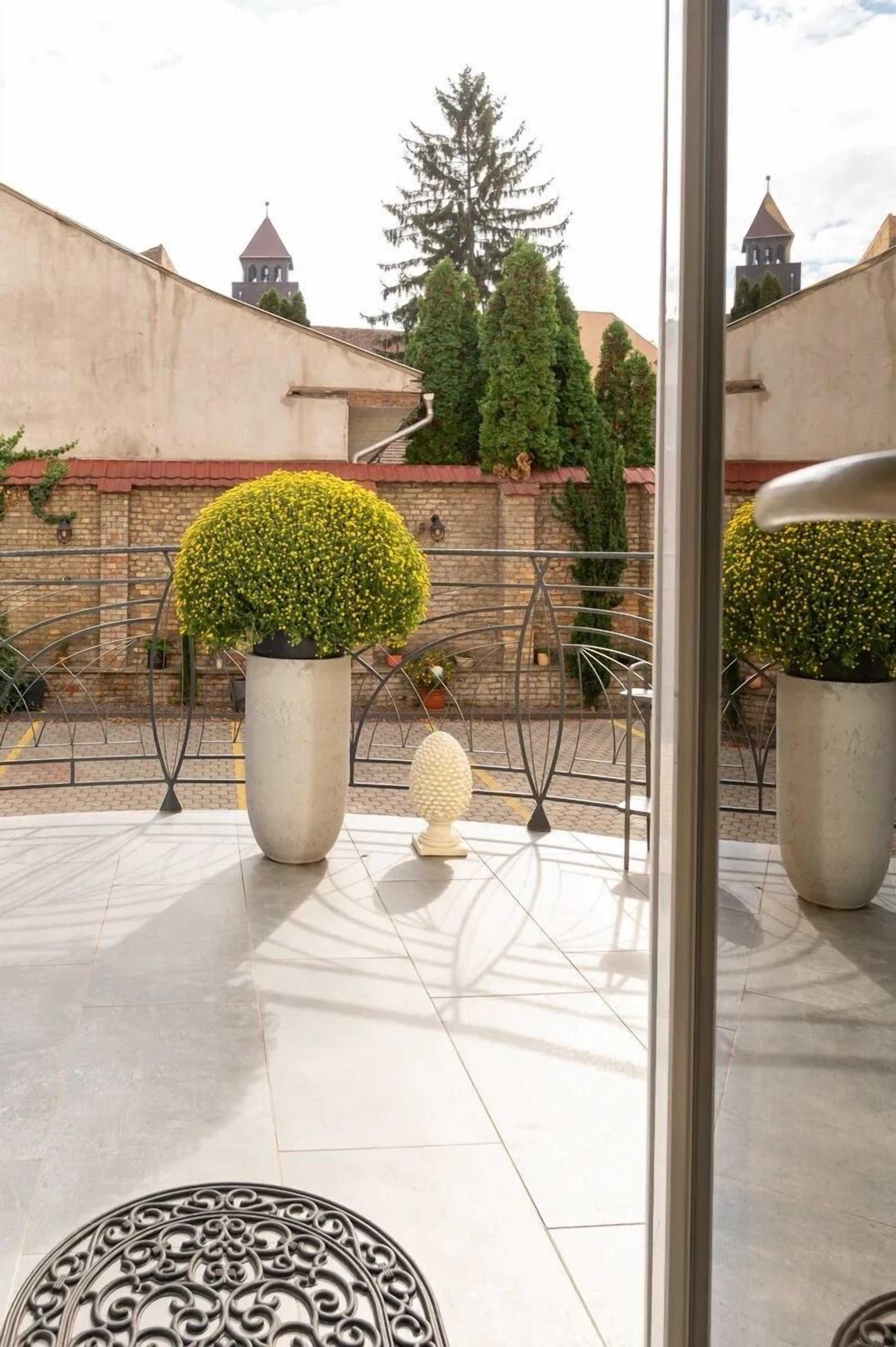 A rooftop terrace with potted plants, a decorative spherical object, and a metal railing.